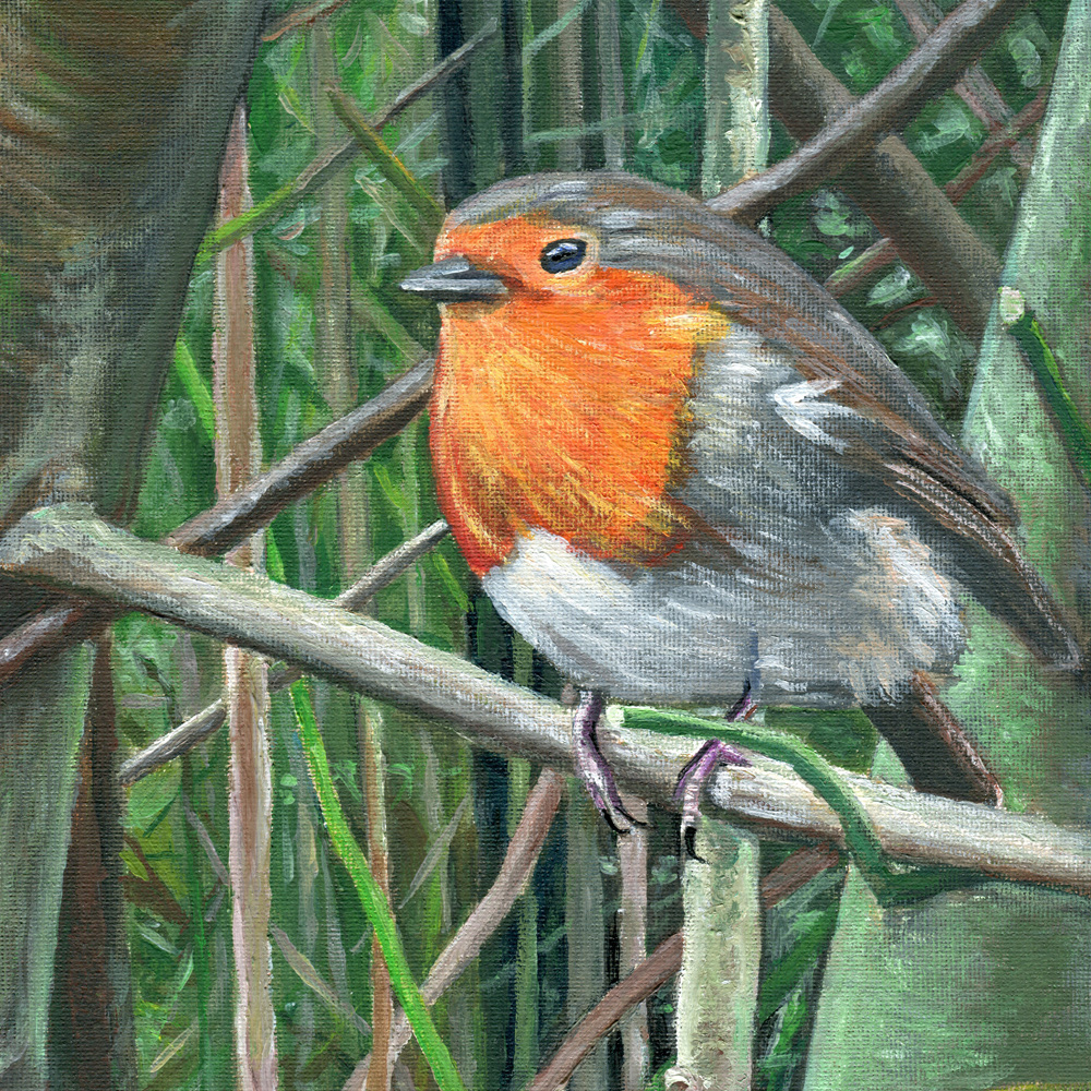 Robin on Leeds Canal - Glenn Herbert 2024